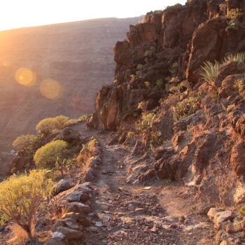 El Guro, La Gomera: Un Refugio Artístico y Natural