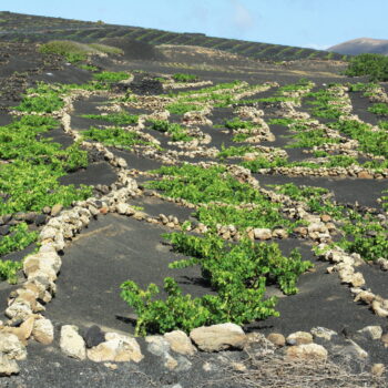 La Asomada: Un Remanso de Paz en Lanzarote