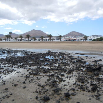 Playa Honda: Un Destino Sereno y Familiar en Lanzarote