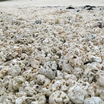 Popcorn Beach, Fuerteventura: Un Fenómeno Natural Único en las Islas Canarias