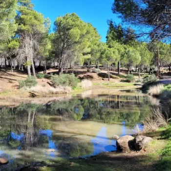 Guía Completa para Explorar el Sendero Llanos de la Pez en Gran Canaria