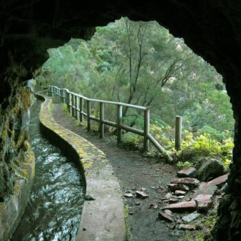 Guía Completa para Explorar el Sendero de Marcos y Cordero en La Palma